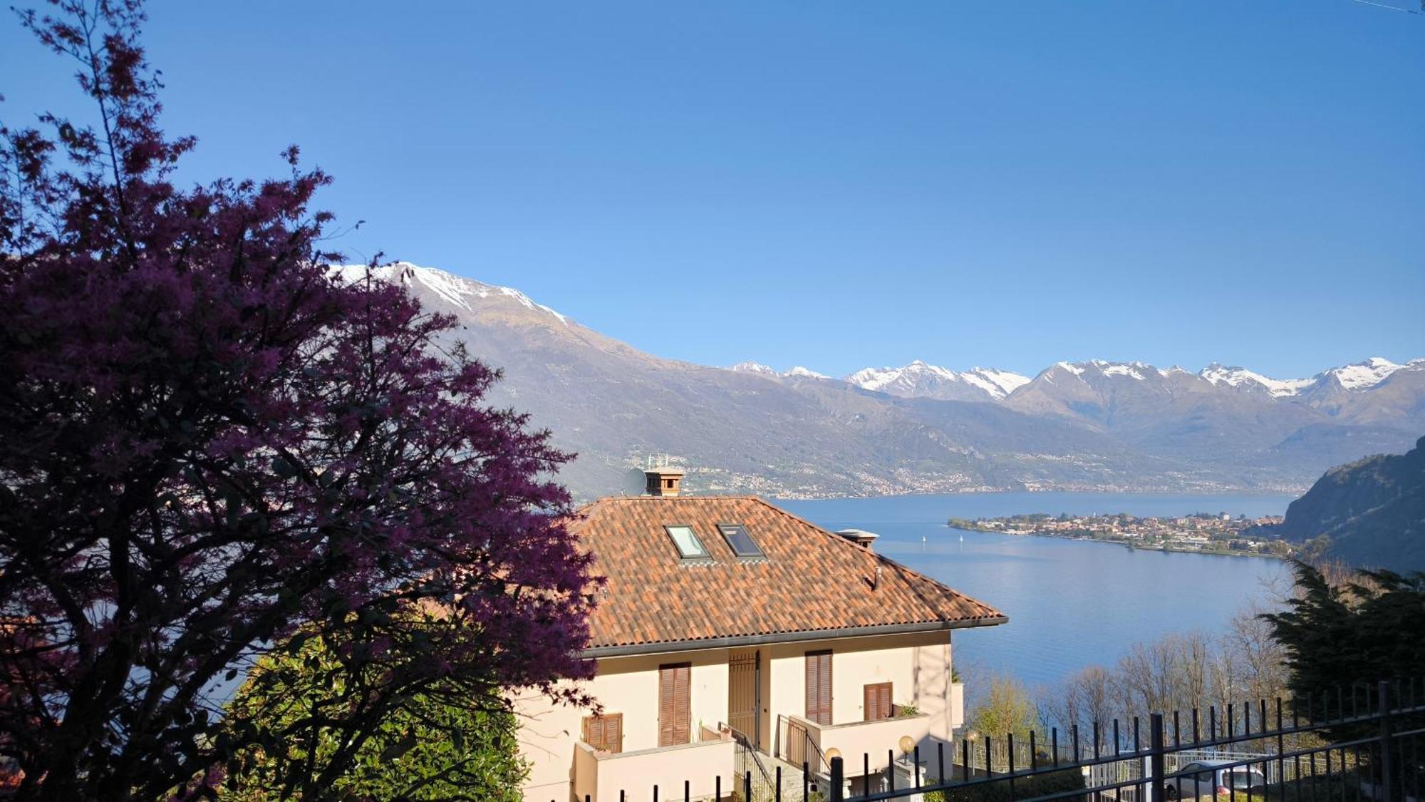 Apartment With Garden And Terrace Beautiful Lake View Bellano Dış mekan fotoğraf